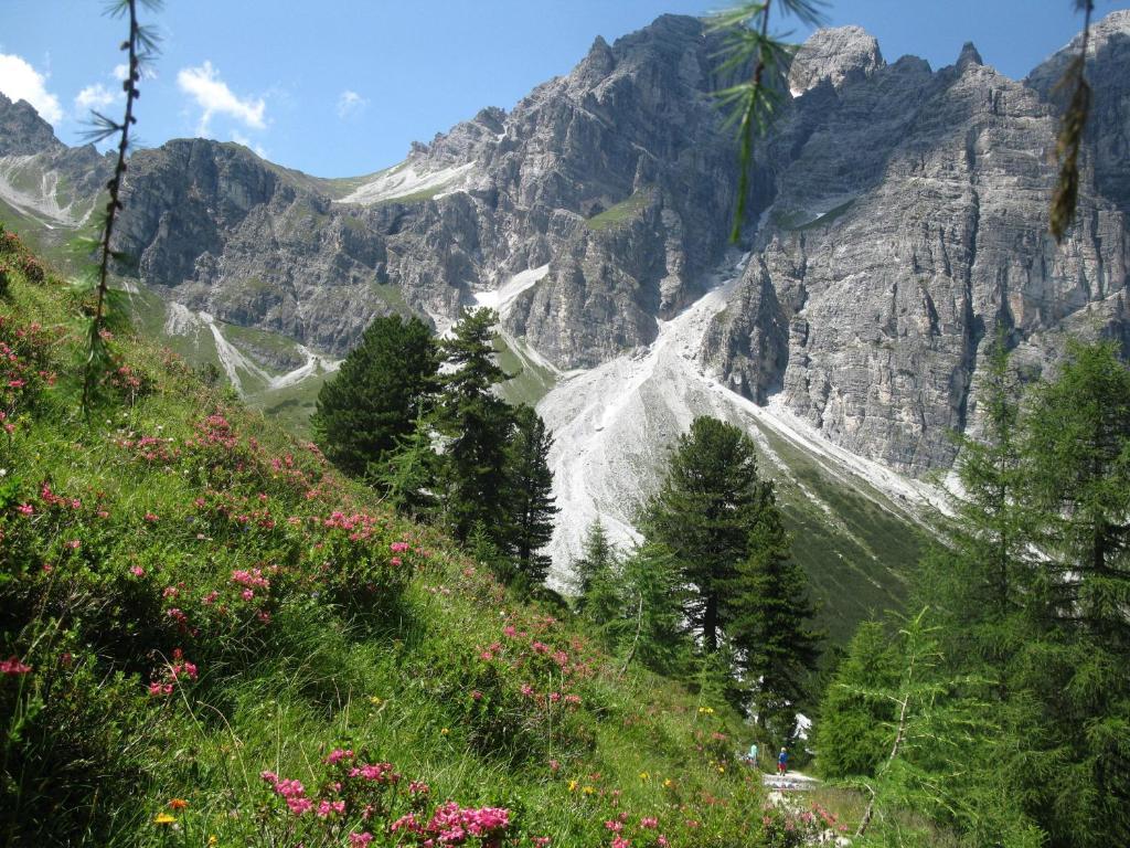 Pension Bergwelt Neustift im Stubaital Exterior photo